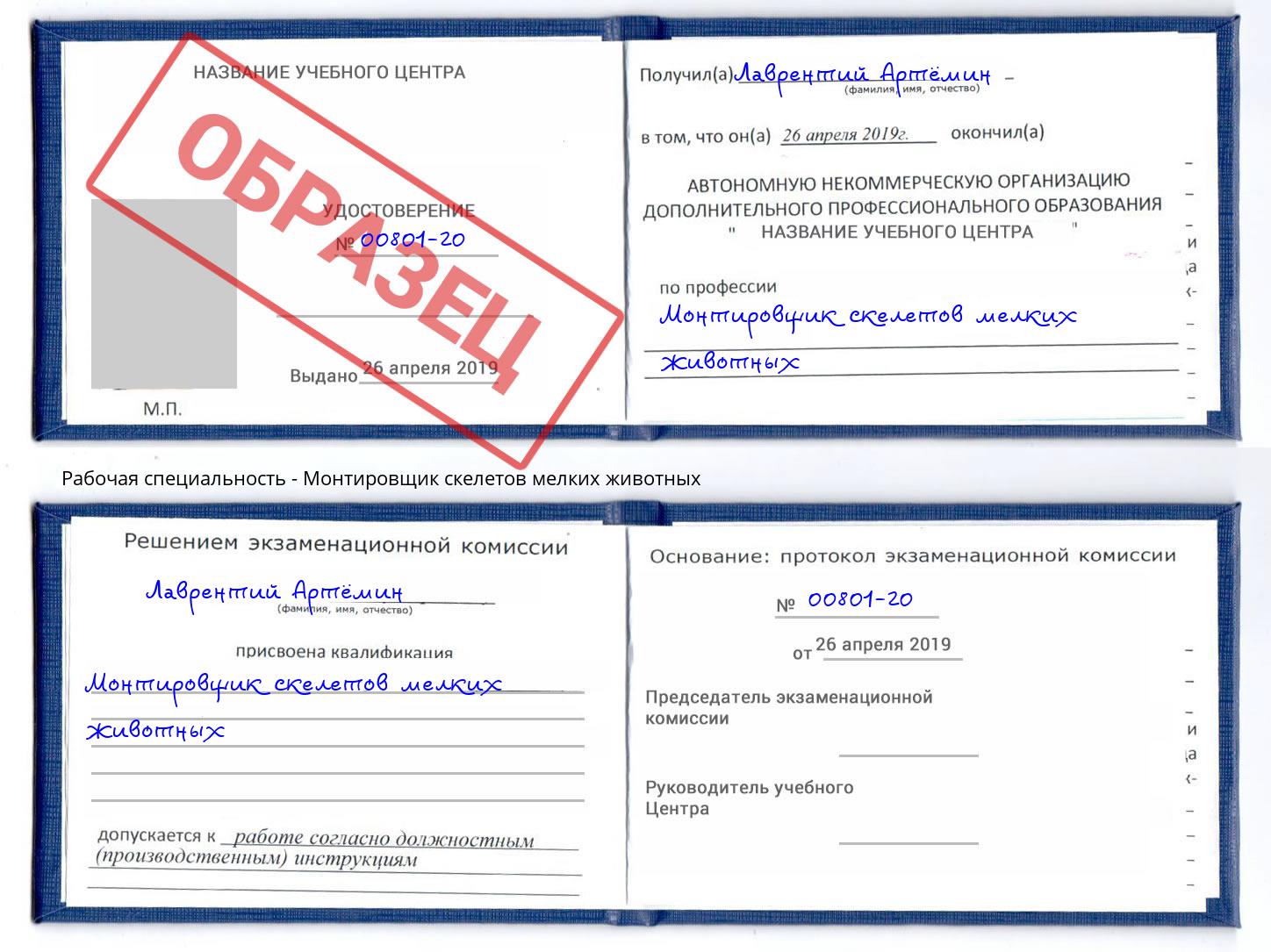 Монтировщик скелетов мелких животных Волжск