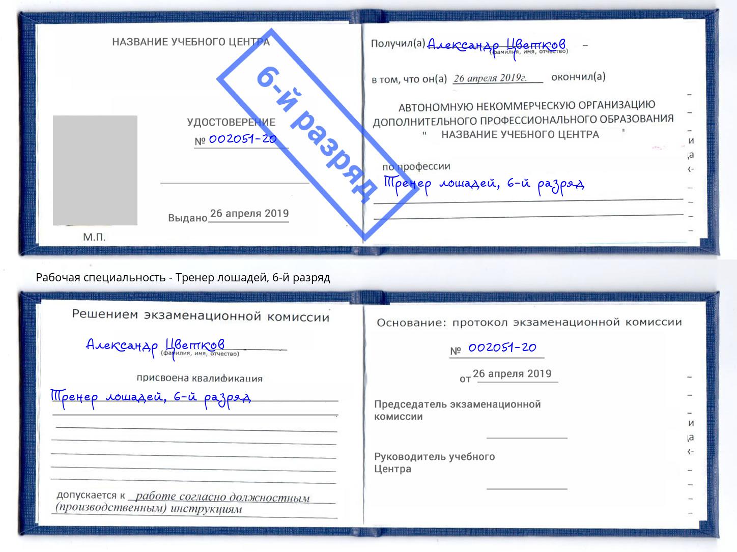корочка 6-й разряд Тренер лошадей Волжск